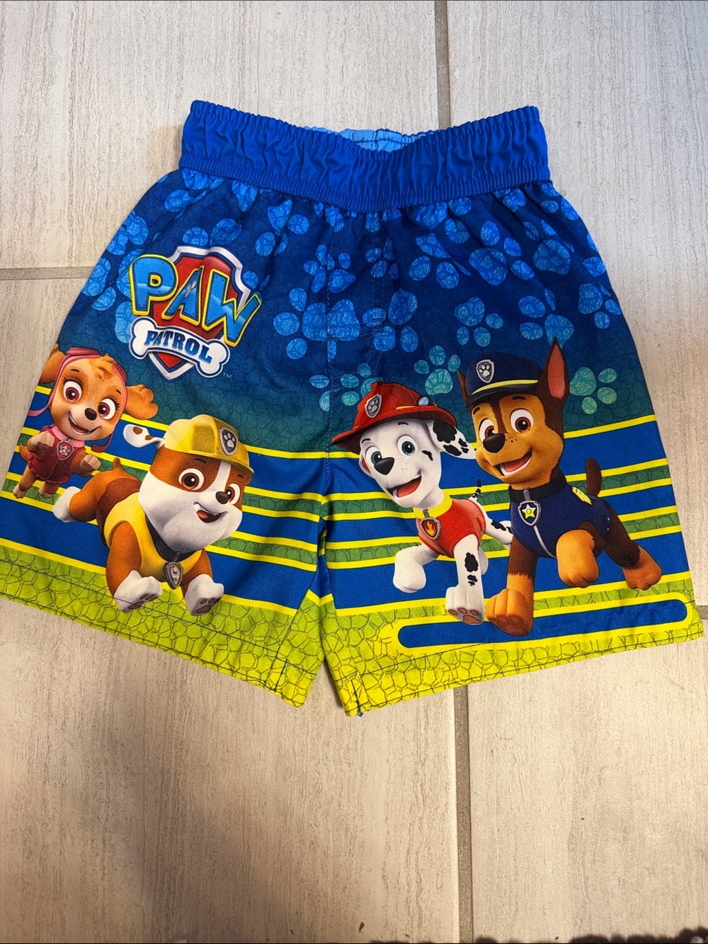 Paw Patrol Character Swim Trunks - 3T